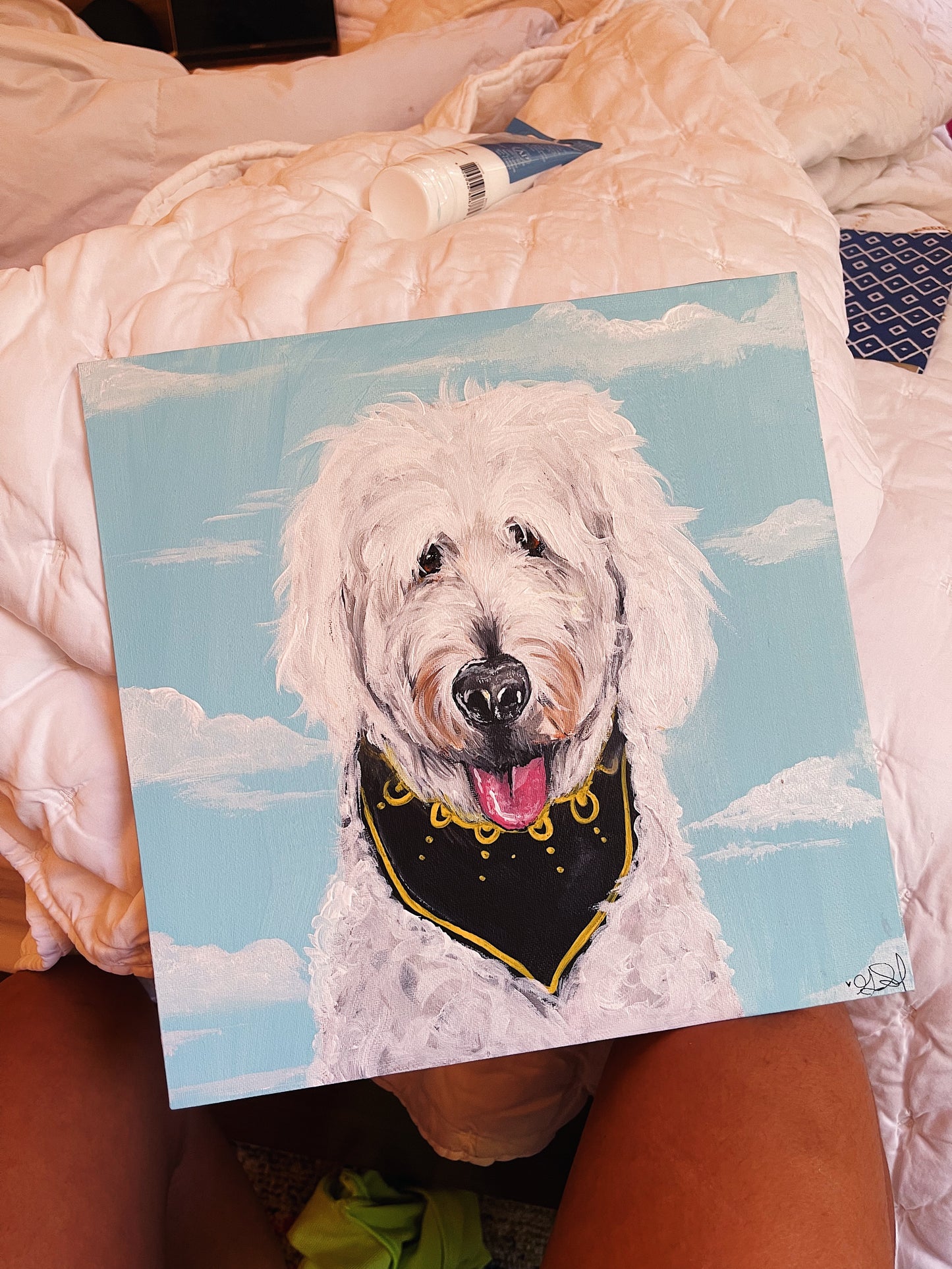Pet Portraits