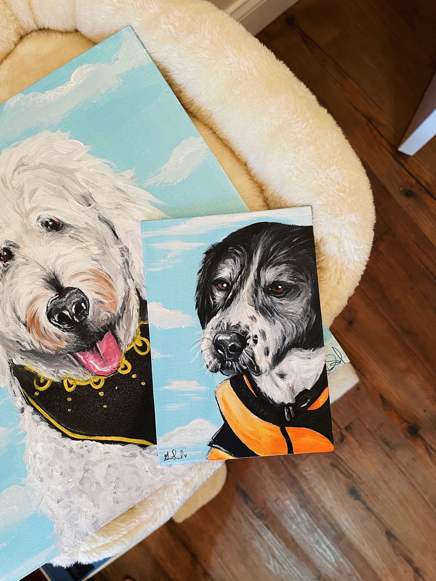 Pet Portraits