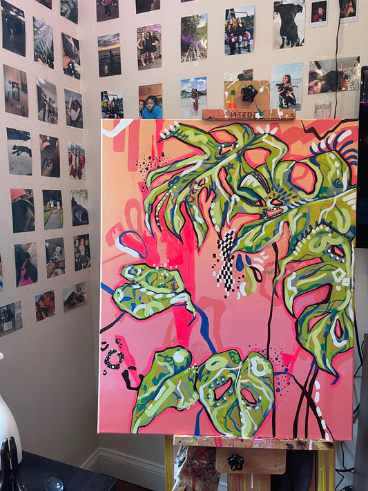 sunrise monstera