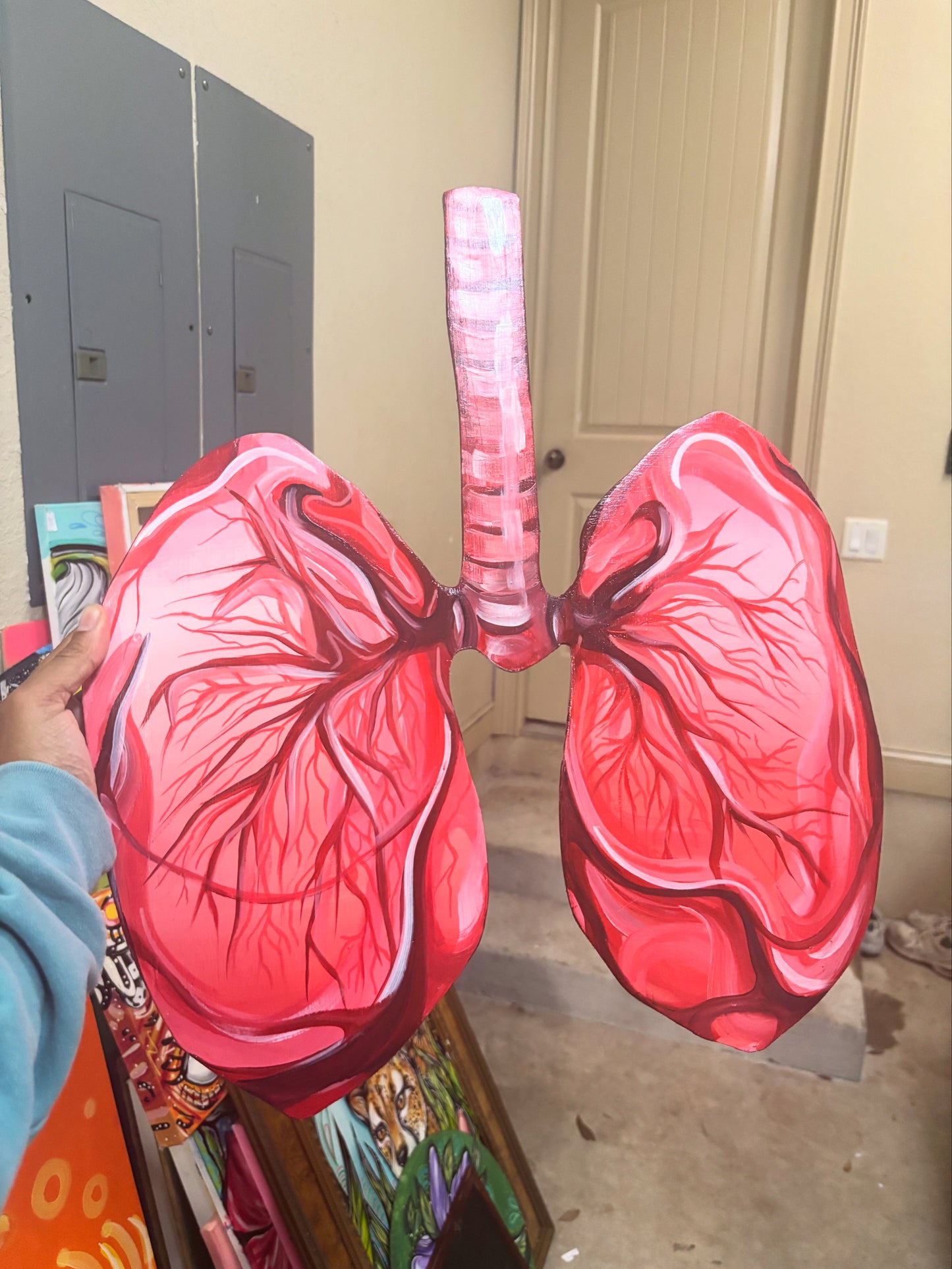 lungs