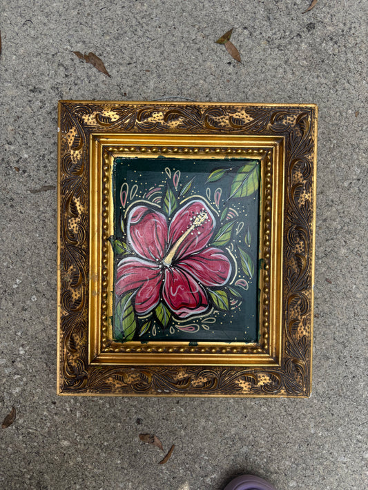 ornate hibiscus