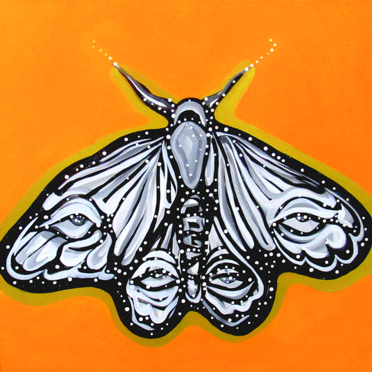 moth prints